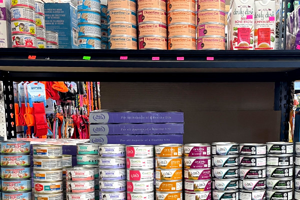 wet food for cats