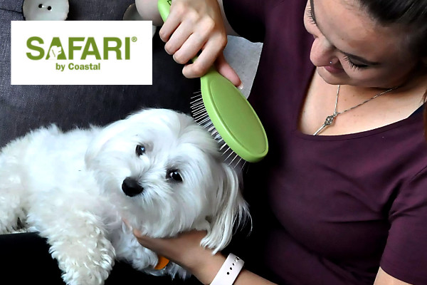 safari brand dog groom brush