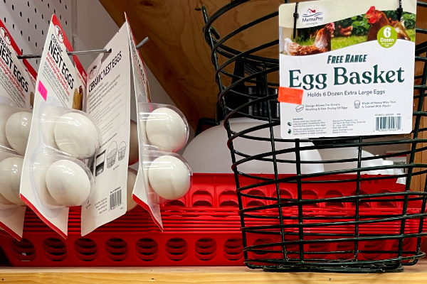 egg baskets and nest eggs