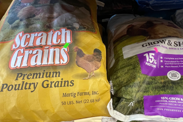 poultry grain