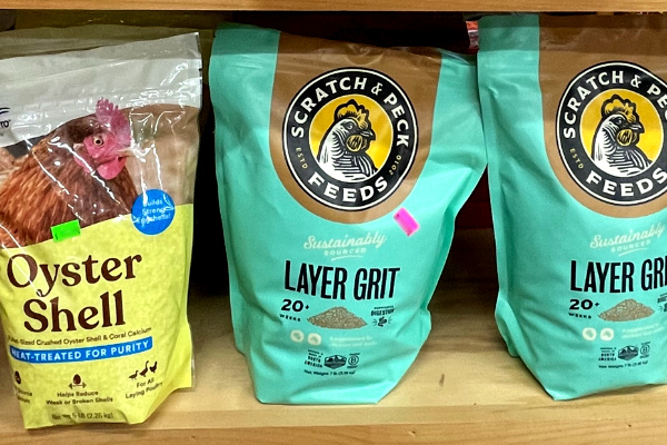 layer grit and oyster shell for chickens