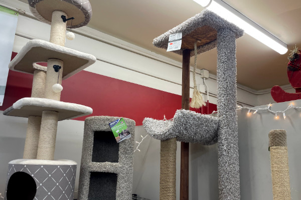 cat scratching posts