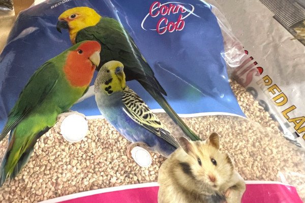 corn cob bedding