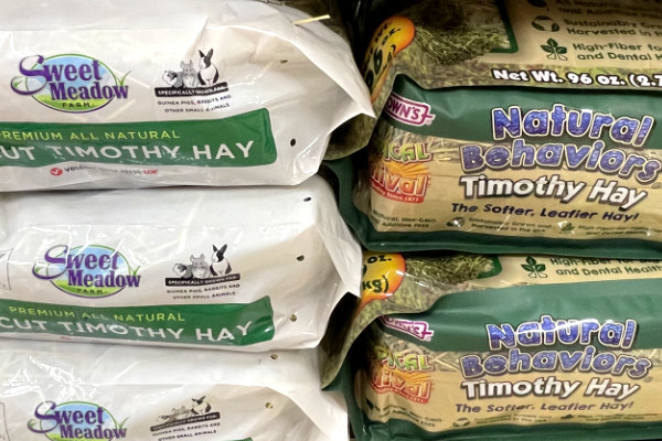 timothy hay