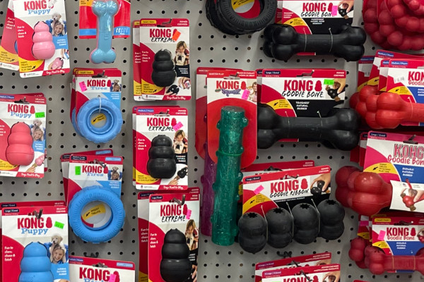 KONG brand toys
